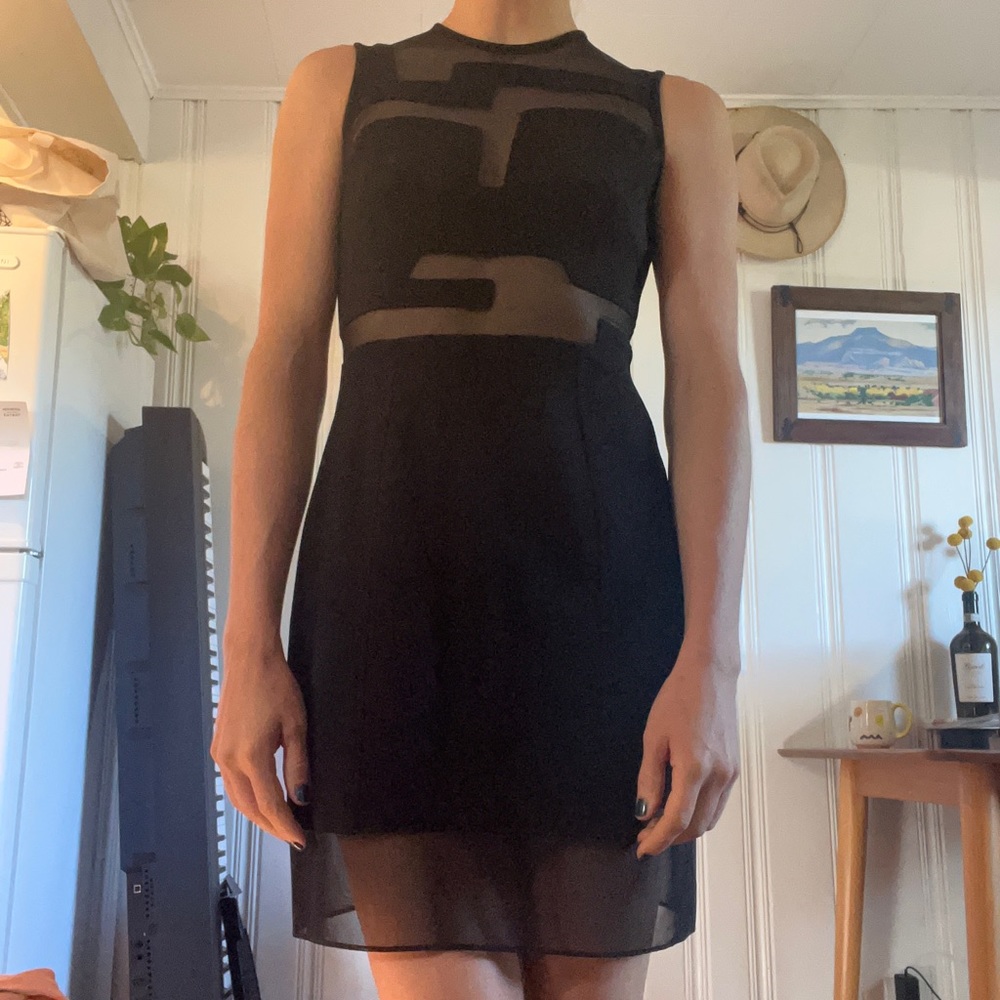 Vintage Tadashi Petites Sheer Geometric Dress